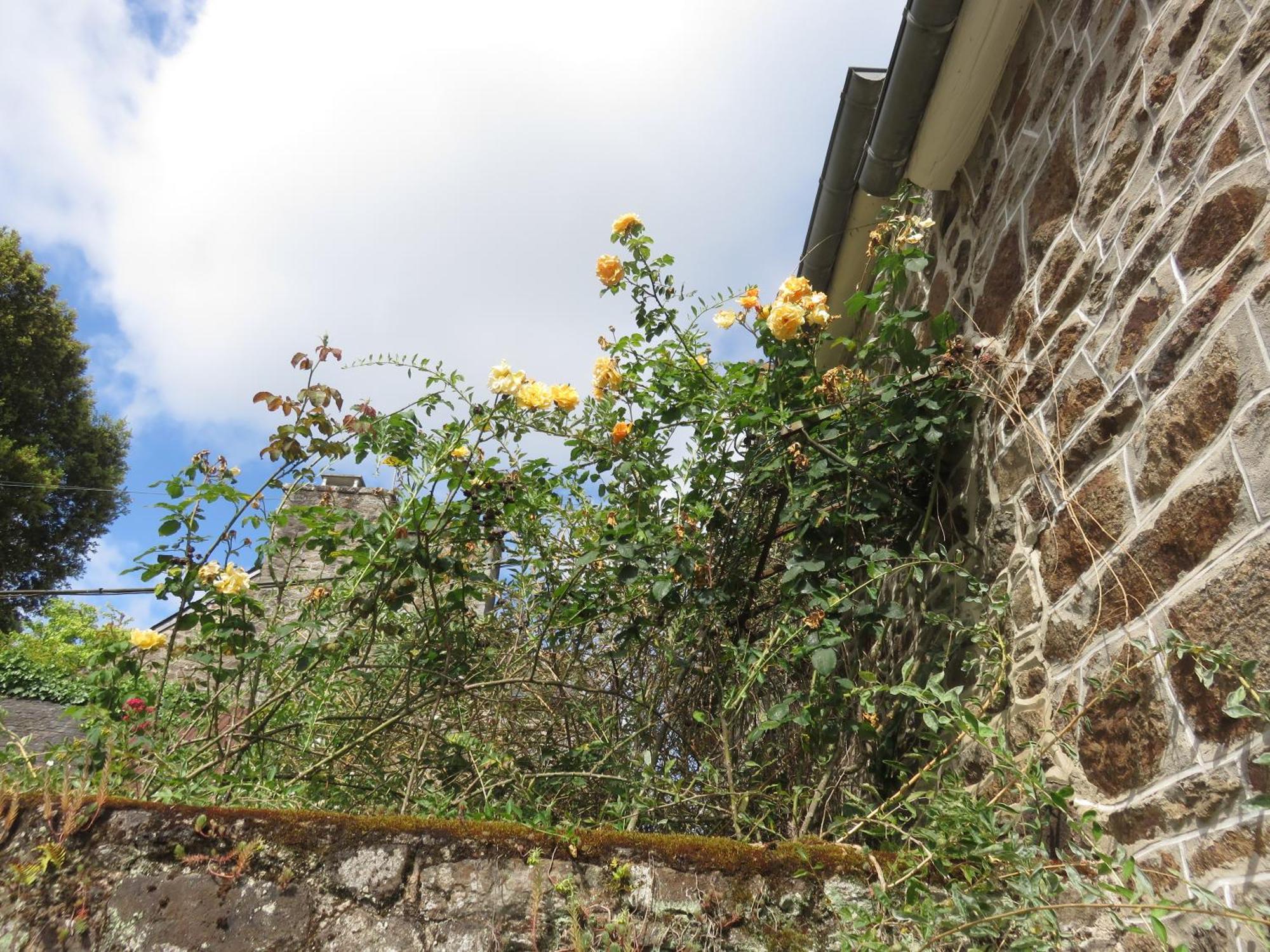 Le Jardin A Mordreuc Bed and Breakfast Pleudihen-sur-Rance Εξωτερικό φωτογραφία